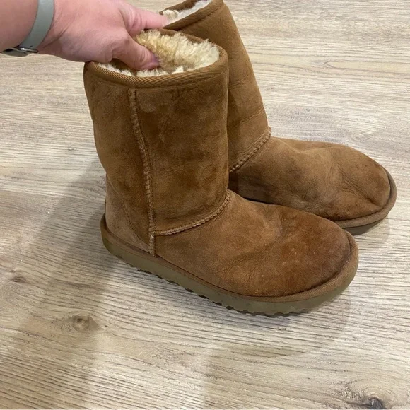 Classic Chestnut Uggs - Picture 3 of 4